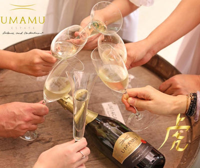 'Cheers, Happy New Year' – The reason why we wish people happy things