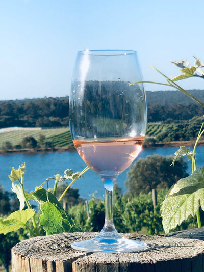 How to have a deeper conversation with your wine