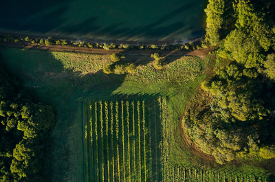 Timeline of the Margaret River wine region