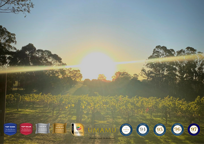 The 5 keys to understanding wine terroir